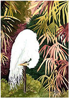 ellen long painting of egret preening